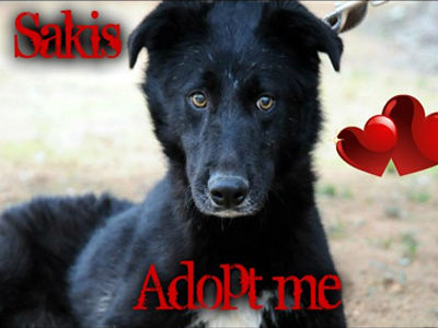 Ποιος θα υιοθετήσει τον Σάκη;